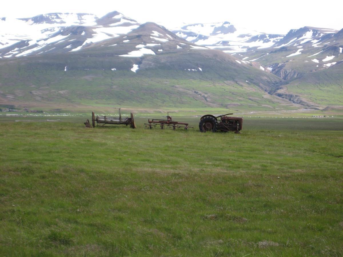 Asbrandsstadir Cottage Vopnafjorthur المظهر الخارجي الصورة