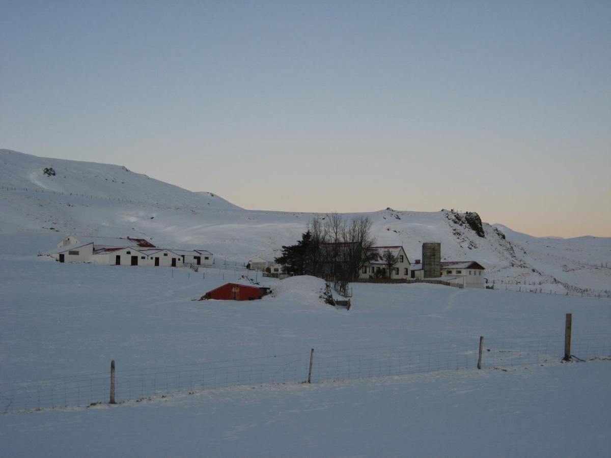 Asbrandsstadir Cottage Vopnafjorthur المظهر الخارجي الصورة